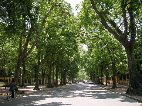 Cứu hộ ắc quy ô tô Phố Nguyễn Du
