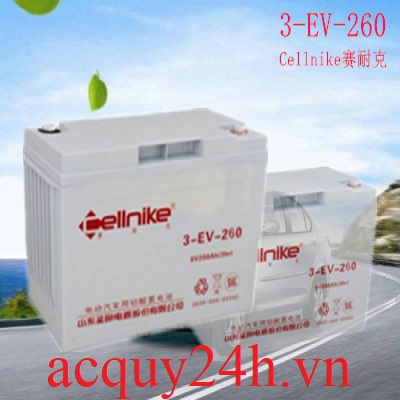 Ắc quy Cellnike 3-EV-260 (6V - 260Ah)