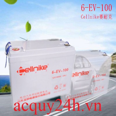 Ắc quy Cellnike 6-EV-100 (12V - 100Ah)