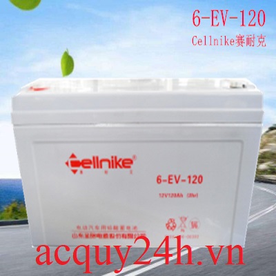 Ắc quy Cellnike 6-EV-120 (12V - 120Ah)