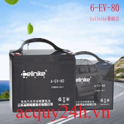 Ắc quy Cellnike 6-EV-80 (12V - 80Ah)