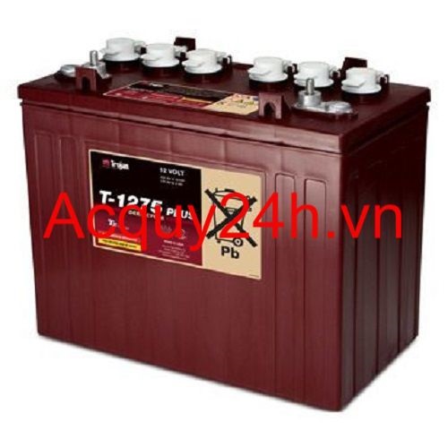 Ắc quy Trojan T-1275 AGM ( 12v- 132Ah )