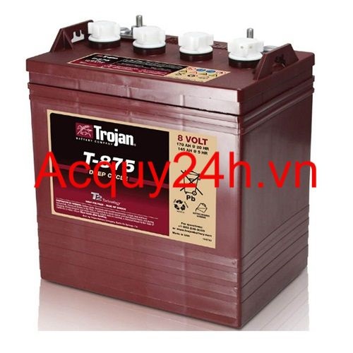 Ắc Quy TROJAN T-875 ( 8V - 175Ah )