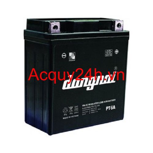 Ắc quy Đồng Nai PT6A (12V - 6Ah)