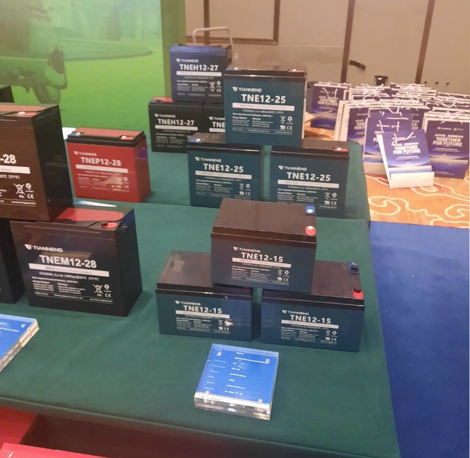 Triển lãm Ắc quy xe ĐIện Thiên Năng-Tianneng